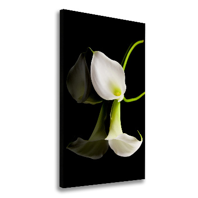 Quadro foto su tela verticale Calla bianca