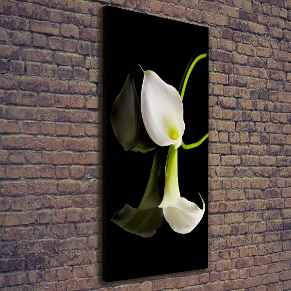 Quadro foto su tela verticale Calla bianca