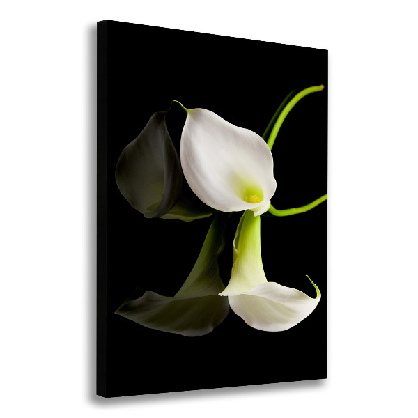 Quadro foto su tela verticale Calla bianca