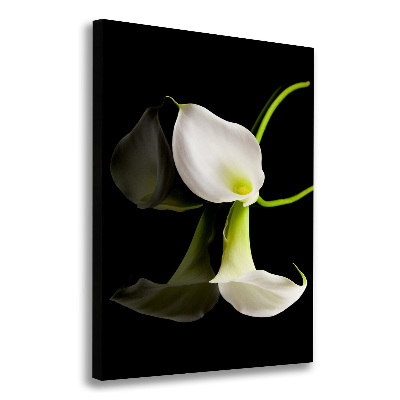 Quadro foto su tela verticale Calla bianca