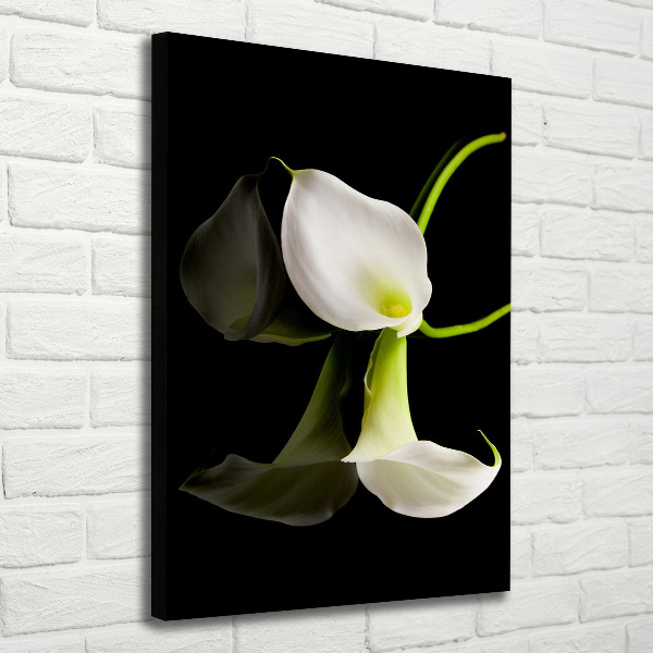 Quadro foto su tela verticale Calla bianca
