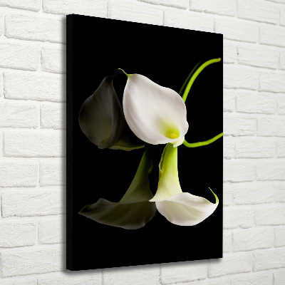 Quadro foto su tela verticale Calla bianca