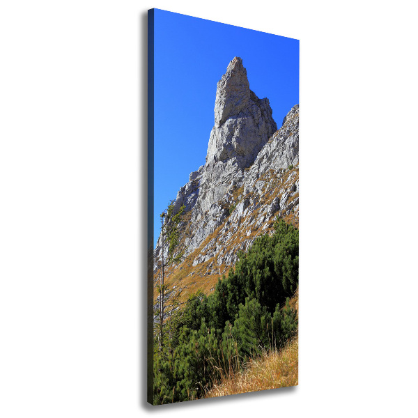 Quadro su tela canvas verticale Piccolo Giewont, Monti Tatra