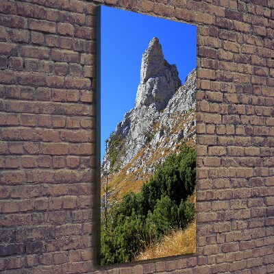 Quadro su tela canvas verticale Piccolo Giewont, Monti Tatra