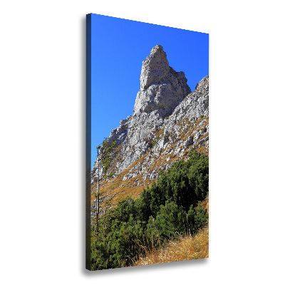 Quadro su tela canvas verticale Piccolo Giewont, Monti Tatra