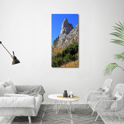 Quadro su tela canvas verticale Piccolo Giewont, Monti Tatra