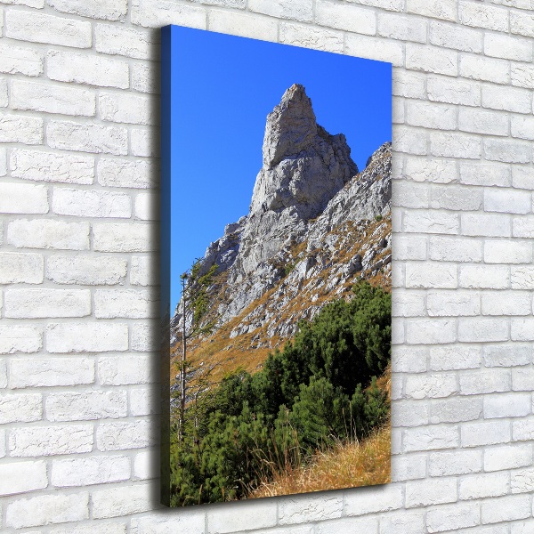Quadro su tela canvas verticale Piccolo Giewont, Monti Tatra