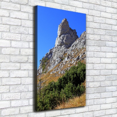 Quadro su tela canvas verticale Piccolo Giewont, Monti Tatra