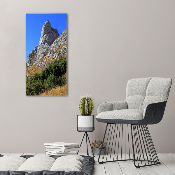 Quadro su tela canvas verticale Piccolo Giewont, Monti Tatra