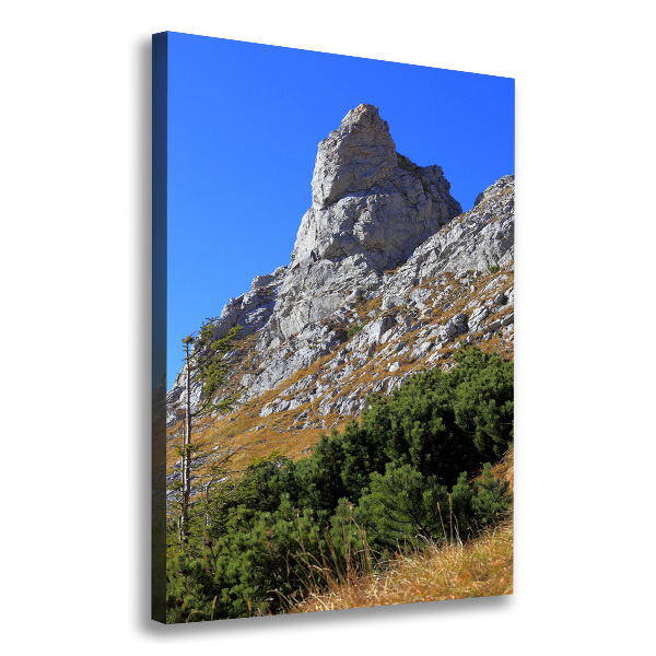 Quadro su tela canvas verticale Piccolo Giewont, Monti Tatra