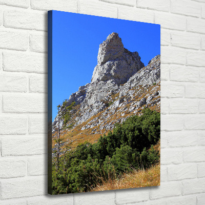 Quadro su tela canvas verticale Piccolo Giewont, Monti Tatra