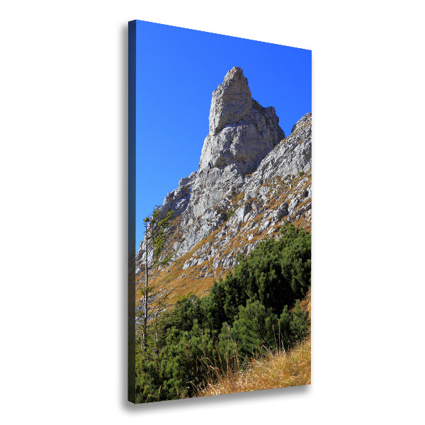 Quadro su tela canvas verticale Piccolo Giewont, Monti Tatra