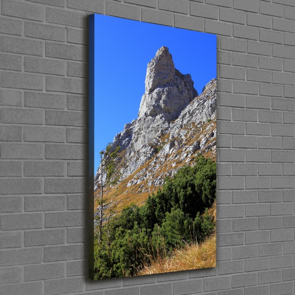 Quadro su tela canvas verticale Piccolo Giewont, Monti Tatra