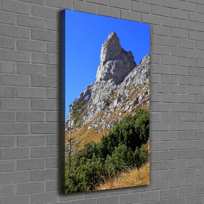 Quadro su tela canvas verticale Piccolo Giewont, Monti Tatra