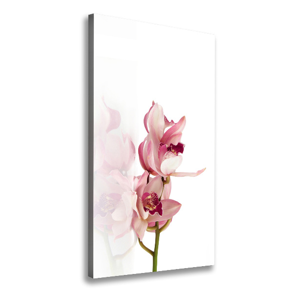 Stampa quadro su tela verticale Orchidea rosa
