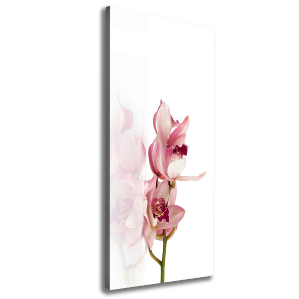 Stampa quadro su tela verticale Orchidea rosa