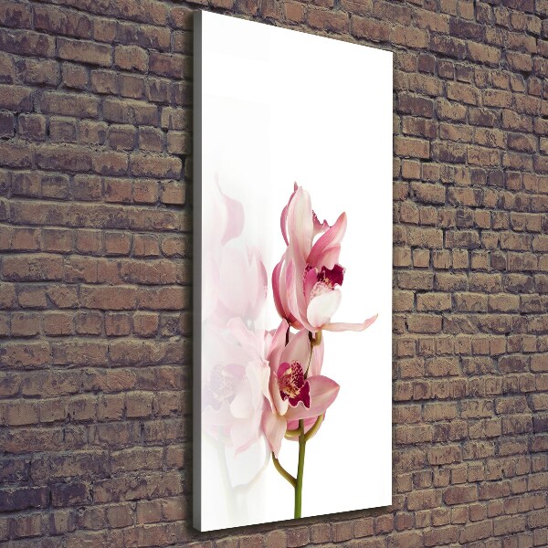 Stampa quadro su tela verticale Orchidea rosa