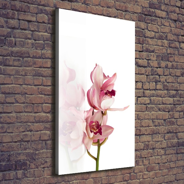 Stampa quadro su tela verticale Orchidea rosa