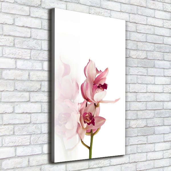 Stampa quadro su tela verticale Orchidea rosa