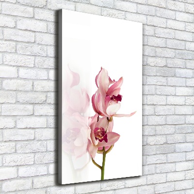 Stampa quadro su tela verticale Orchidea rosa