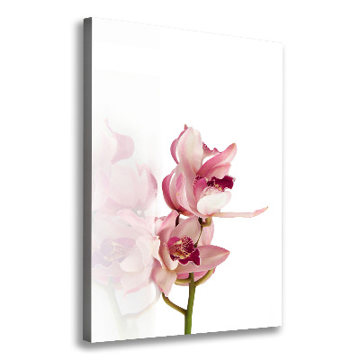 Stampa quadro su tela verticale Orchidea rosa