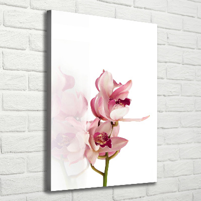 Stampa quadro su tela verticale Orchidea rosa