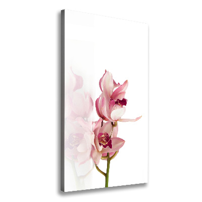 Stampa quadro su tela verticale Orchidea rosa