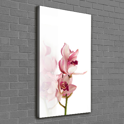 Stampa quadro su tela verticale Orchidea rosa