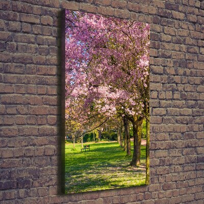 Stampa quadro su tela verticale Alberi di ciliegio