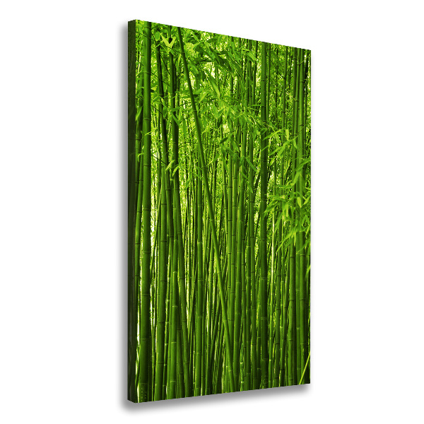 Quadro su tela canvas verticale Foresta di bambù