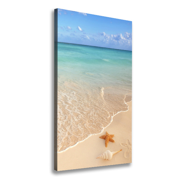 Quadro foto su tela verticale Stelle marine sulla spiaggia
