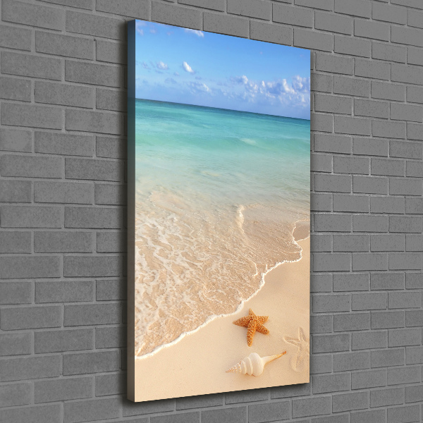 Quadro foto su tela verticale Stelle marine sulla spiaggia