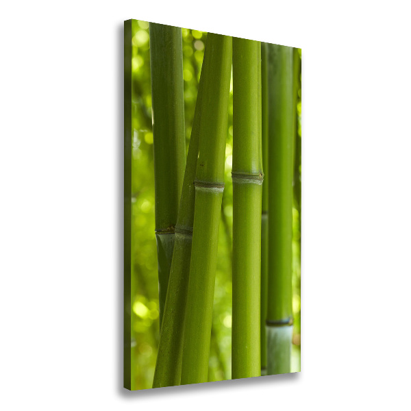 Stampa quadro su tela verticale Foresta di bambù