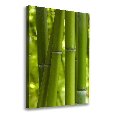 Stampa quadro su tela verticale Foresta di bambù