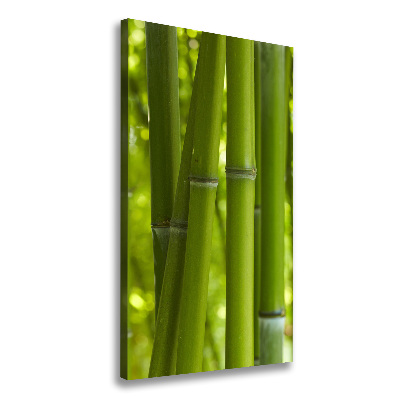 Stampa quadro su tela verticale Foresta di bambù