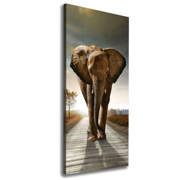 Quadro su tela canvas verticale Camminare come un elefante