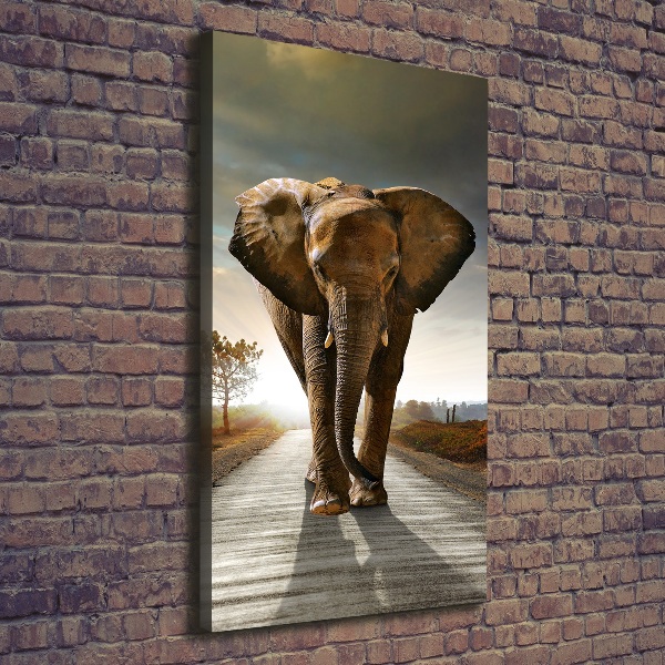 Quadro su tela canvas verticale Camminare come un elefante