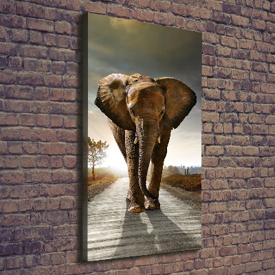 Quadro su tela canvas verticale Camminare come un elefante