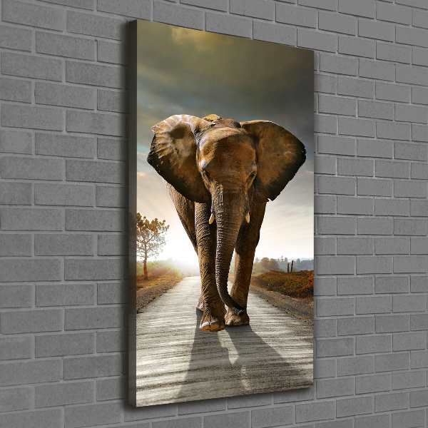 Quadro su tela canvas verticale Camminare come un elefante