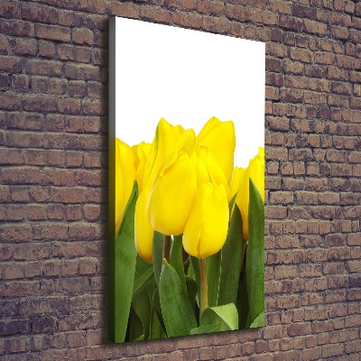 Quadro foto su tela verticale Minticolo giallo