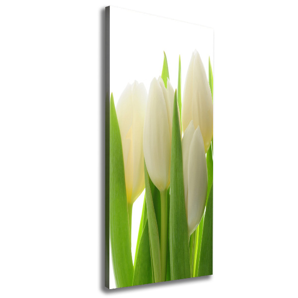 Quadro su tela canvas verticale Tulipani bianchi