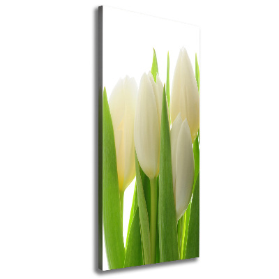 Quadro su tela canvas verticale Tulipani bianchi