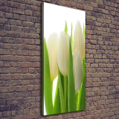 Quadro su tela canvas verticale Tulipani bianchi
