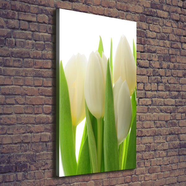 Quadro su tela canvas verticale Tulipani bianchi