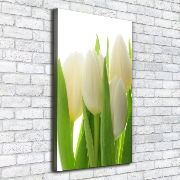 Quadro su tela canvas verticale Tulipani bianchi
