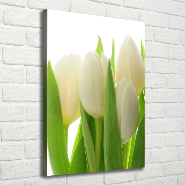 Quadro su tela canvas verticale Tulipani bianchi