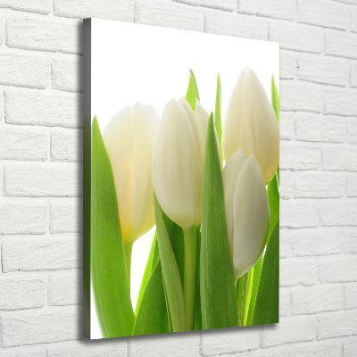 Quadro su tela canvas verticale Tulipani bianchi