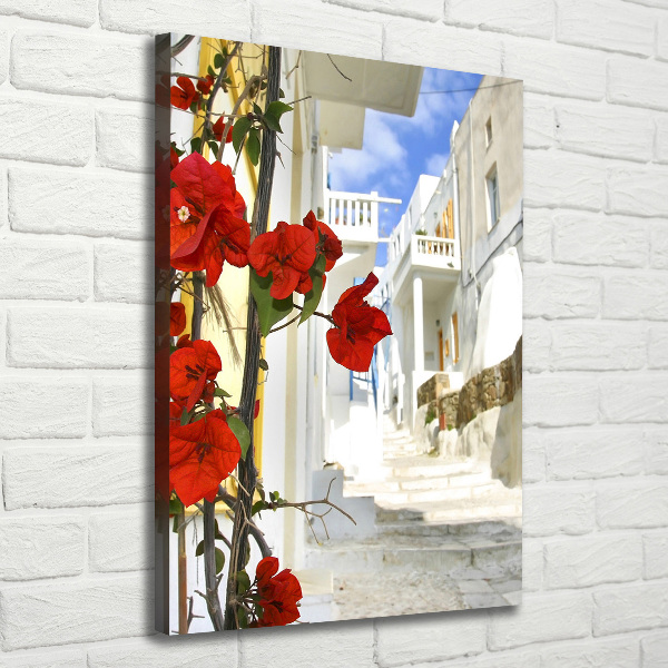 Quadro foto su tela verticale Mykonos, Grecia
