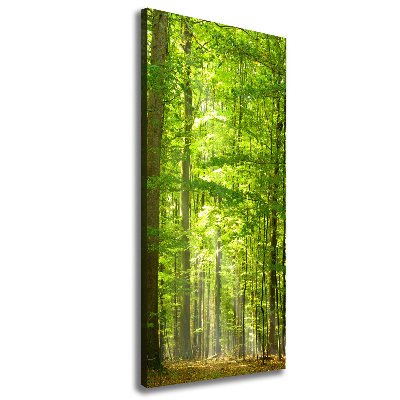 Quadro foto su tela verticale Foresta di faggi