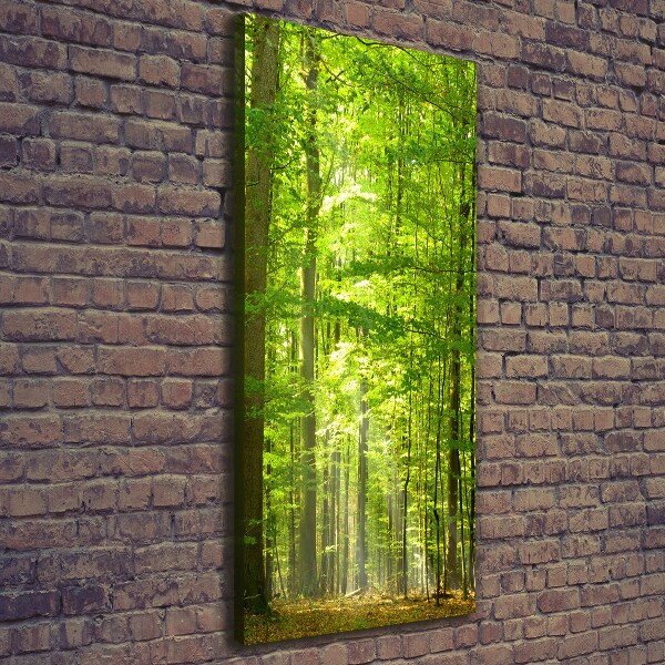 Quadro foto su tela verticale Foresta di faggi